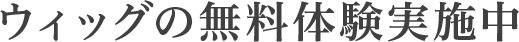 ウィッグの無料体験実施中