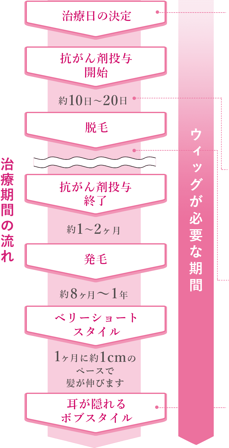 治療期間の流れ