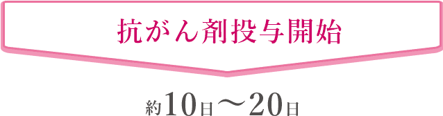 抗癌剤投与開始 約10日〜20日