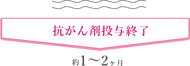 抗癌剤投与終了 約1〜2ヶ月