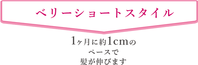 ベリーショートスタイル 1ヶ月に約1cmのペースで髪が伸びます