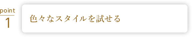 ボリュームアップにこだわった バリエーション豊富なウィッグ