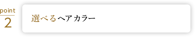 選べるヘアカラー