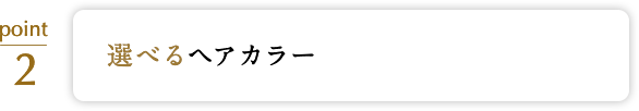 選べるヘアカラー